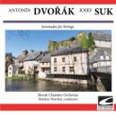 Slovak Chamber Orchestra - Serenade for Strings in E major, Op. 22 - Larghetto ()