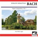 Ivan Sokol - Canzona in D minor