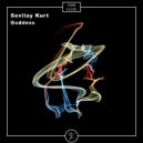 Sevilay Kurt - Avata