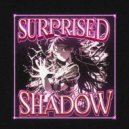 jdmfessh & yoloo! - SUPRISED SHADOW