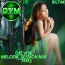 Djs Vibe - Melodic Session Mix 2023 (RILTIM) ()