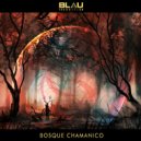 Blau Transition - Fuego Nuevo (Original Mix)