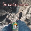Alastriona Spijker - Indefinito