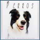 Música Para Perros & Colectivo De Música Para Perros & Ansiedad De Los Perros - Música de terapia para perros ()