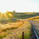 Serenity Circuit - Mindful Meditation ()