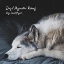Lofi Harry & Dog Music Waves & Dog Relaxing Zone - Melodic Moods ()