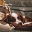 LoFi HipHop Guru & Doggy Doo-Wop & Floof - Softly Beating ()