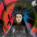 Tagirov Faat - Time is frozen (Extended Mix)