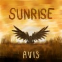 Avis - Copy Paste Streets