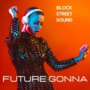 Block Street Sound - Future Gonna (Original Mix)