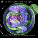 Erik The Viking Vs Ian James Stewart - What Kind Of World (Original Mix)