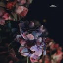 Delaj - Coucouron (Original Mix)