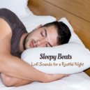 Lofi Playlist & Relaxing Music For Sleeping & Music For Sleeping Ensemble - Play It Cool ()