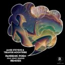 Jamie Stevens, Treavor Moontribe - Pandemic Poem (Pezzner Remix)