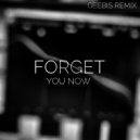 Degrise, Geebis - Forget You Now (Original Mix)