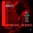 Leroy Burgess - Harmony