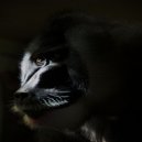 Manmade Science - 25A (Original Mix)