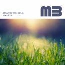 Strange Malcolm - Lucid