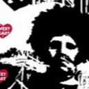 Dj Vl Raccoon - SpecTehnologi Ms 24