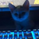 Yigitt4k & Furkann4k - Uzi X Madrigal Dip ()