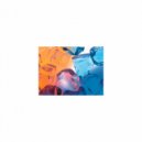 Sleep BGM Mindfulness - Carboniferous and Freedom