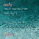 Nature Sounds & Rain Sounds & Nature Sounds Nature Music - Rain and Ambient Sounds, Pt. 2 ()