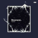 Theydream - Bicameral