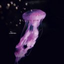South Atoms - Bersine