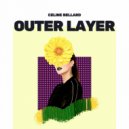 Carl Bessman - Ornaments