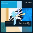 DM8 - Let You Go ()