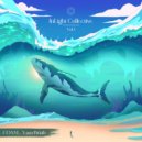 COAM & Alon Landa - Yam Briah (feat. Alon Landa) ()