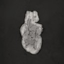 aeseaes & aeseaes - Can't Help Falling in Love With You