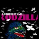 Knowbuddy's Safe - Cold Sweats
