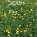 Viktor Vos - Dope (Original Mix)