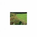 Sleep BGM Mindfulness - Birthday and Frustration (Original Mix)