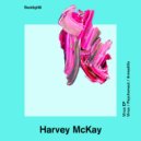 Harvey McKay - Armadilo