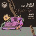 Hallex M Feat. Osunlade - Right Here