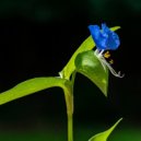 Osc Project - Just Another Day