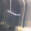 Adin Astra - Calm Endings Are Never Emotional ()