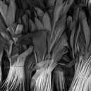 Sergio Nuevo - Ramson ()