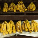 Sergio Nuevo - Love is Everything ()