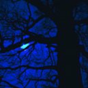 Wynnoww - Error Mind ()