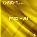 Grande Piano - Olympic