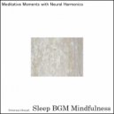 Sleep BGM Mindfulness - Alpha Waves Guide, Offering Refuge from Life's Chaos