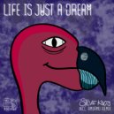 Steve Knots - Your Life Is Just A Dream