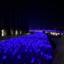 Acid River - My Life ()