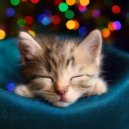 Gatos cascabeleo & Sonidos de lluvia y naturaleza & Suave Música para la Cena Familiar - Melodías Lentas Para Ronronear