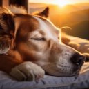 Biblioteca de Música Para Mascotas & Maestro de lo-fi cósmico & Gnees primeras ondas - Bigotes Suaves Con Tonos Lofi Intensos ()