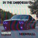 meowxall - in the darkness ()