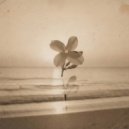 VK Media - Unsent Letters in Drawer